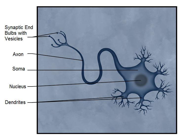 neuron end trip